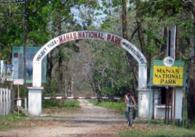 manas-national-park manas-national-park